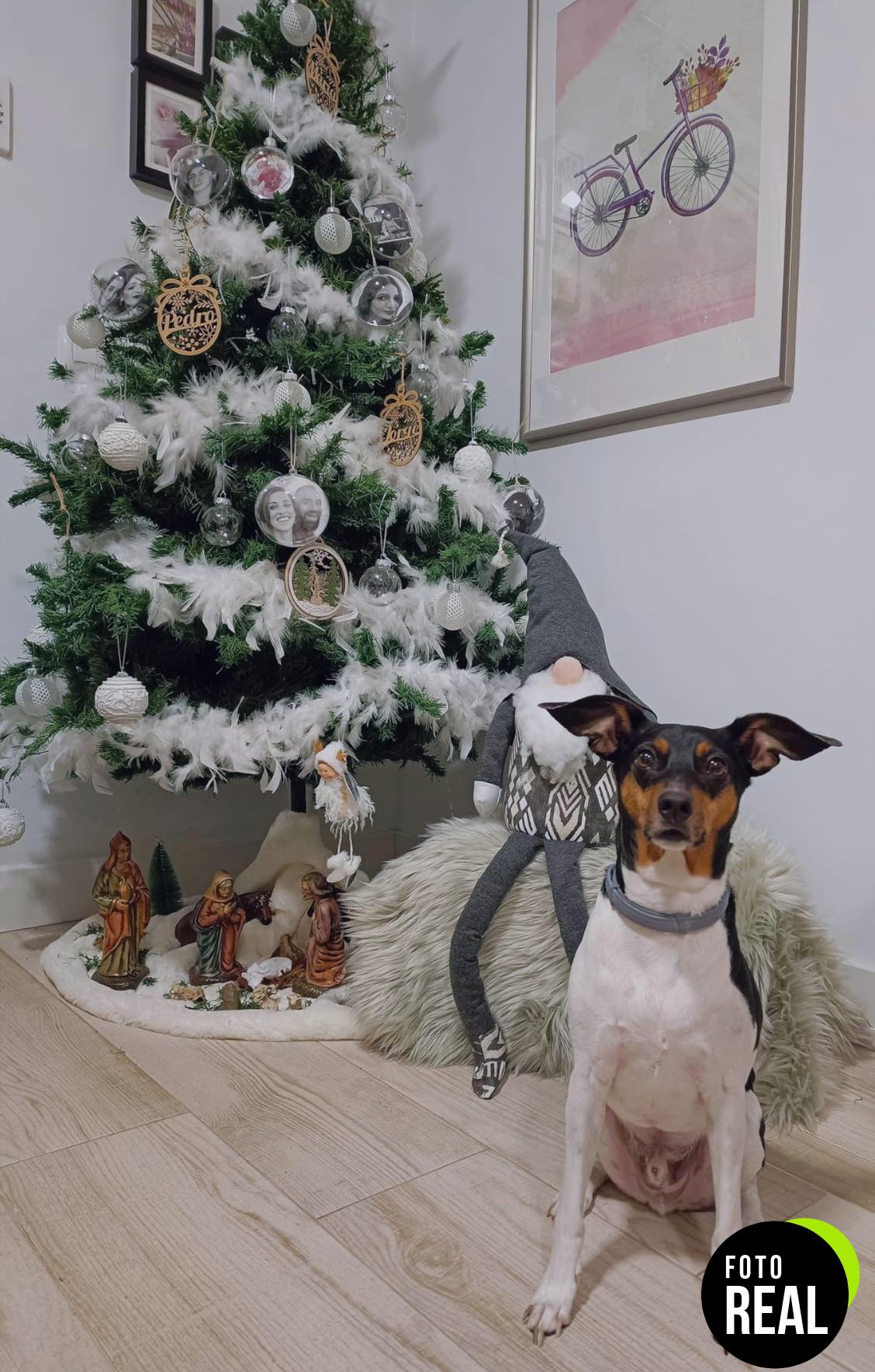 bola-navidad-personalizada-madera-1-foto-2