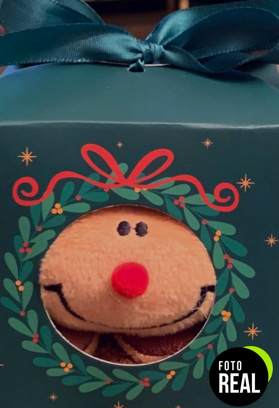 calcetines-termicos-mujer-navidad-divertidos-foto-1