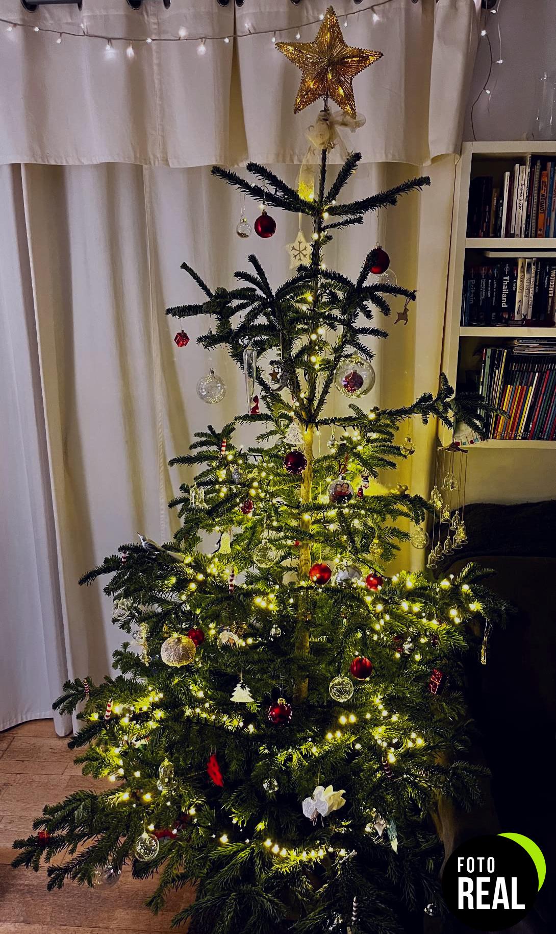estrella-navidad-oro-lewondr-foto-3