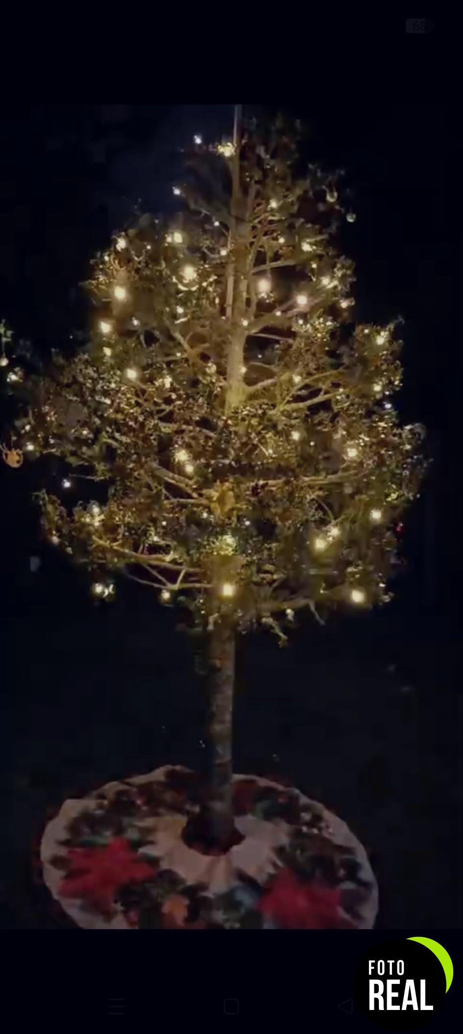 realky-luces-navidad-220-led-foto-1