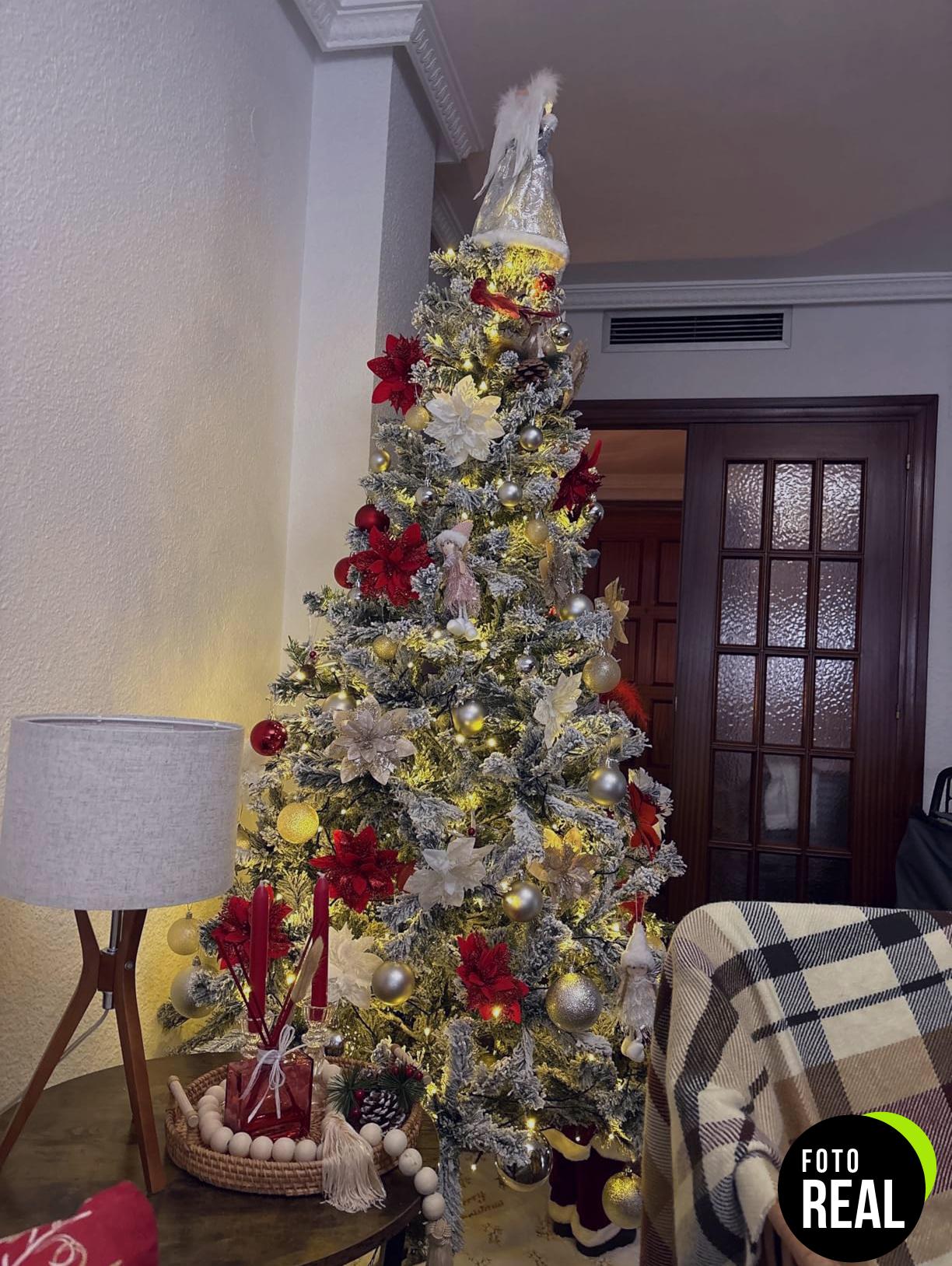 realky-luces-navidad-220-led-foto-3