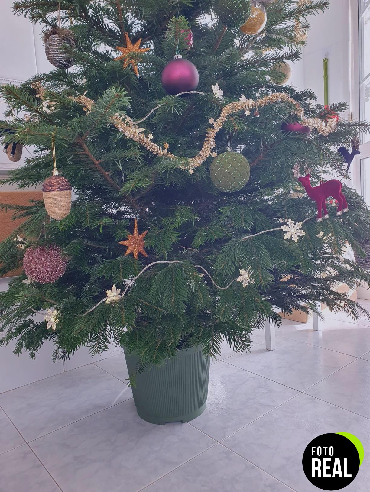 soporte-arbol-navidad-kadax-150cm-grafito-foto-1